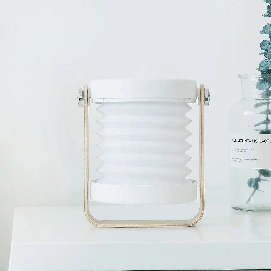 Portable Lamp