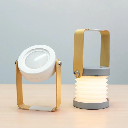Portable Lamp
